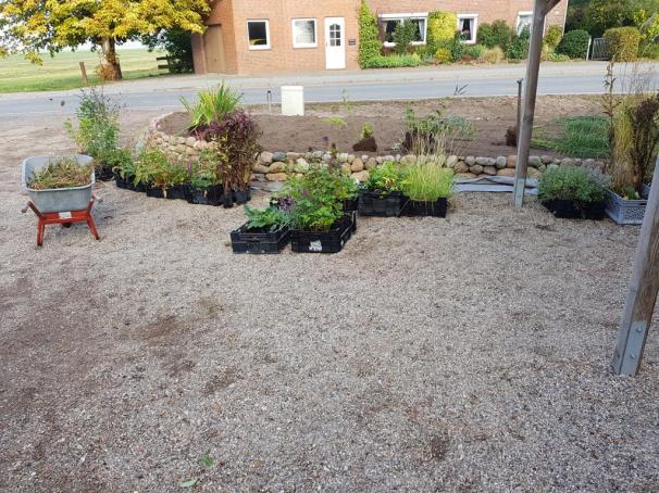 20180927_093819_resized