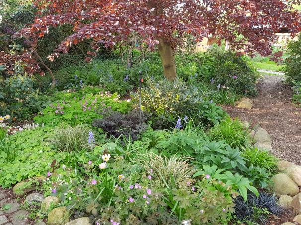 20190518_191652 - Kopie