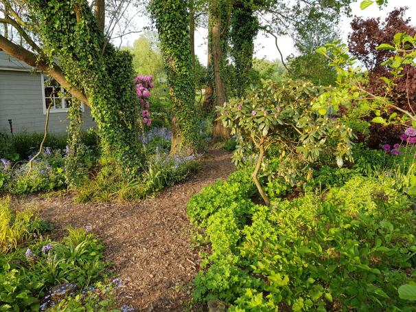 20190518_191720 - Kopie