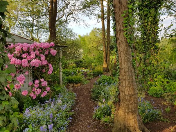 20190518_191730 - Kopie