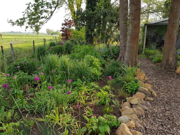 20190518_191755 - Kopie