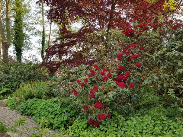 20190518_191842 - Kopie