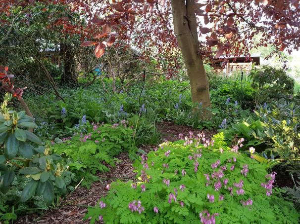 20190518_192025 - Kopie